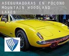 Aseguradoras en Pocono Mountain Woodland Lakes