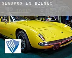 Seguros en  Bzenec