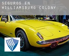 Seguros en  Williamsburg Colony