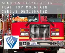 Seguros de autos en  Flat Top Mountain