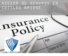 Asesor de seguros en  Cottles Bridge