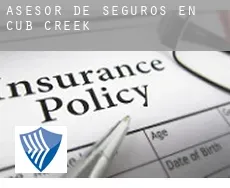 Asesor de seguros en  Cub Creek
