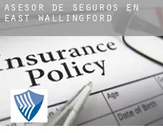 Asesor de seguros en East Wallingford