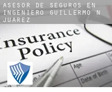Asesor de seguros en  Ingeniero Guillermo N. Juárez