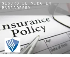 Seguro de vida en  Barraderry