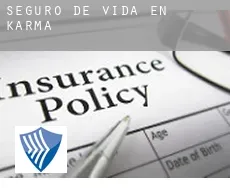 Seguro de vida en  Karma