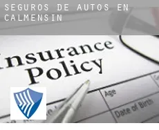 Seguros de autos en  Calmensin