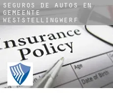 Seguros de autos en  Gemeente Weststellingwerf