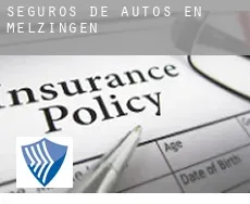 Seguros de autos en  Melzingen