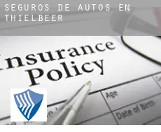 Seguros de autos en  Thielbeer