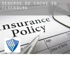 Seguros de coche en  Ilsenburg