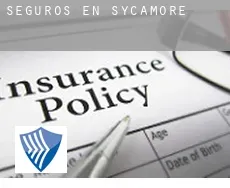 Seguros en  Sycamore