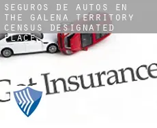 Seguros de autos en  The Galena Territory