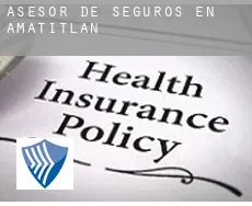 Asesor de seguros en  Amatitlán