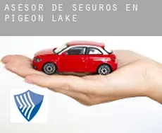 Asesor de seguros en  Pigeon Lake