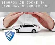 Seguros de coche en  Fawn Haven Number One