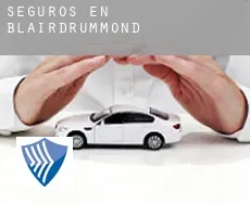 Seguros en Blairdrummond
