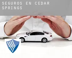 Seguros en Cedar Springs