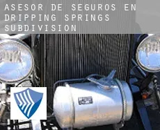 Asesor de seguros en  Dripping Springs Subdivision