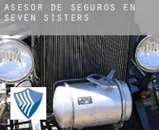 Asesor de seguros en  Seven Sisters