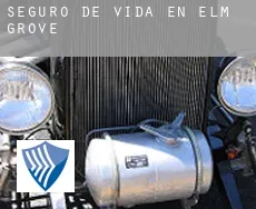 Seguro de vida en  Elm Grove