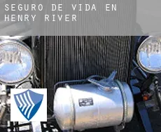 Seguro de vida en  Henry River