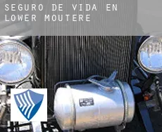Seguro de vida en  Lower Moutere