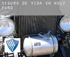 Seguro de vida en  Wolf Pond