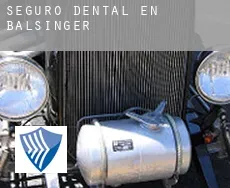 Seguro dental en Balsinger