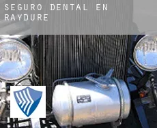 Seguro dental en  Raydure