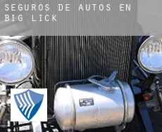 Seguros de autos en  Big Lick
