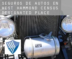 Seguros de autos en  West Hammond