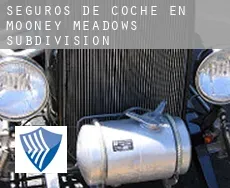 Seguros de coche en  Mooney Meadows Subdivision