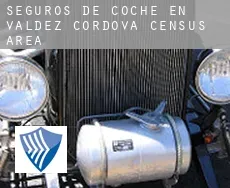 Seguros de coche en  Valdez-Cordova Census Area