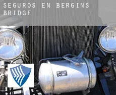 Seguros en  Bergins Bridge