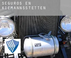 Seguros en  Kiemannsstetten