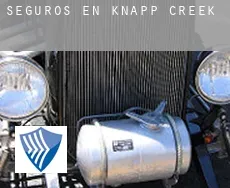 Seguros en  Knapp Creek
