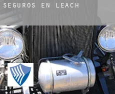 Seguros en  Leach