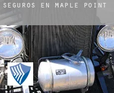 Seguros en  Maple Point