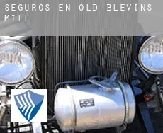 Seguros en  Old Blevins Mill
