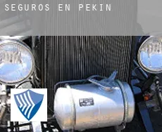 Seguros en  Pekin