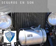 Seguros en  Son