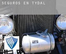 Seguros en  Tydal