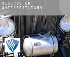 Seguros en  Unterzeitldorn