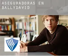 Aseguradoras en  Ballydavid