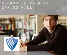 Seguro de vida en  Spring Hill