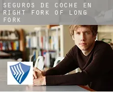 Seguros de coche en  Right Fork of Long Fork