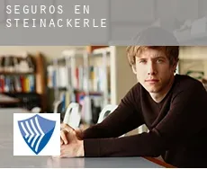 Seguros en  Steinäckerle