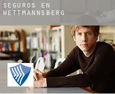 Seguros en  Wettmannsberg