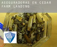 Aseguradoras en  Cedar Farm Landing